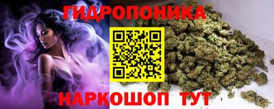 a pvp Коммунар
