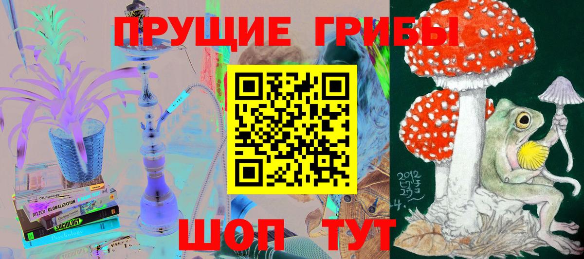 Псилоцибиновые грибы мицелий Канск