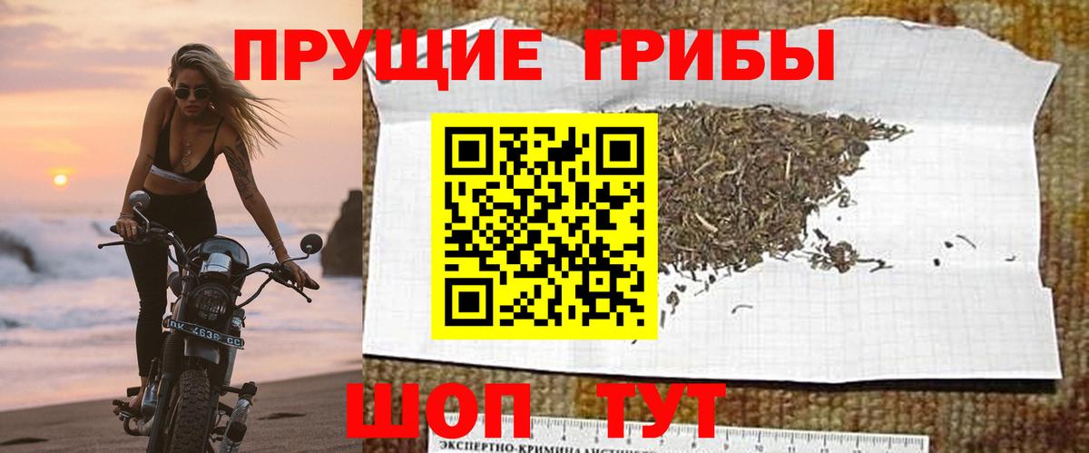 Псилоцибиновые грибы Magic Shrooms  Вход с VPN  наркотики  Канск 
